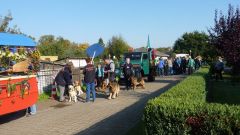 Galerie Am Rande des Festumzugs zum 25. Landeserntedankfest anzeigen